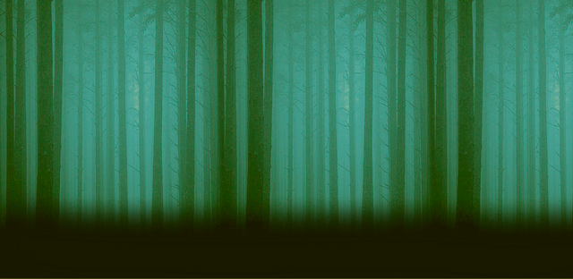 File:Wiki-background.png