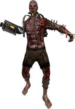 The Husk1