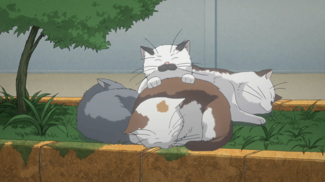 File:Ep1.png