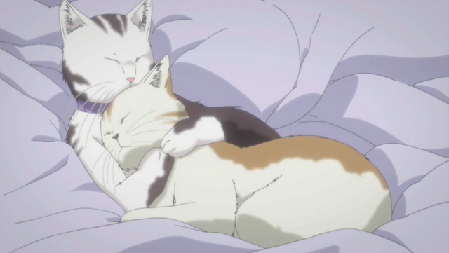 File:111.png
