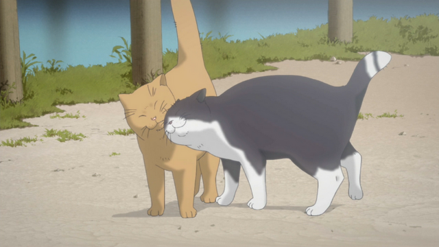 File:112.png