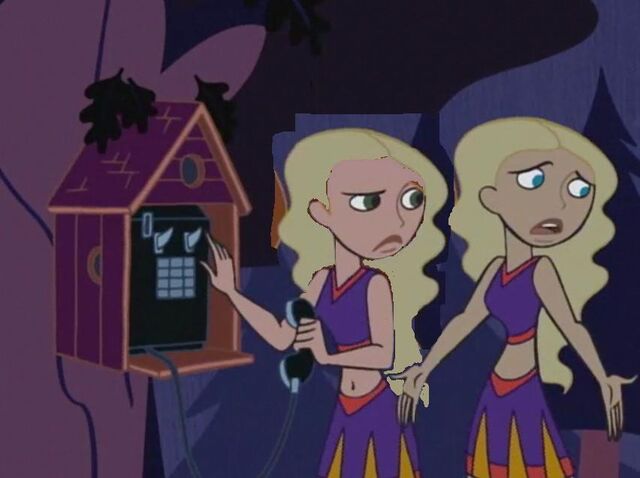 File:Twin Test3.jpg