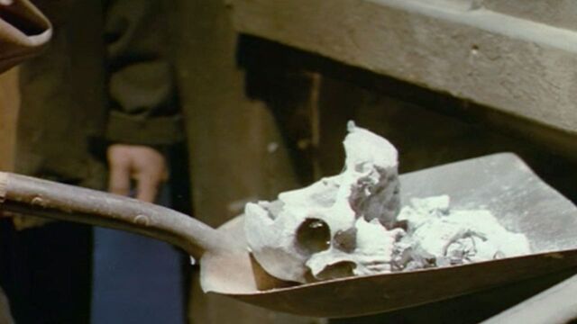 File:Guessthatsaskull.jpg
