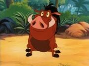Pumba jpg.jpg
