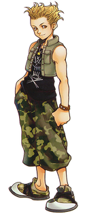 Hayner (Art)