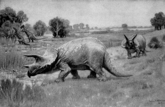 File:Triceratops.jpg