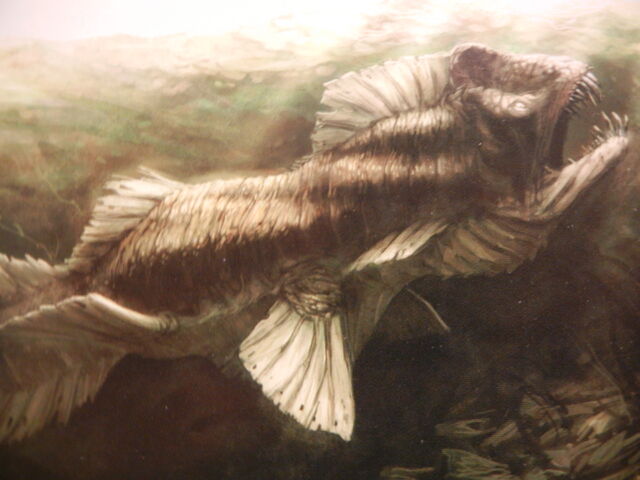 File:DSCN2130.jpg