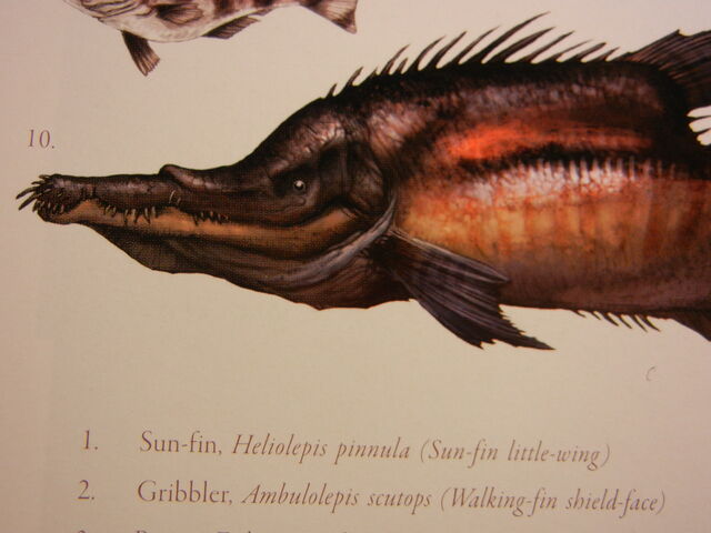 File:DSCN2146.jpg