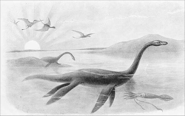 File:Plesiosaur.jpg