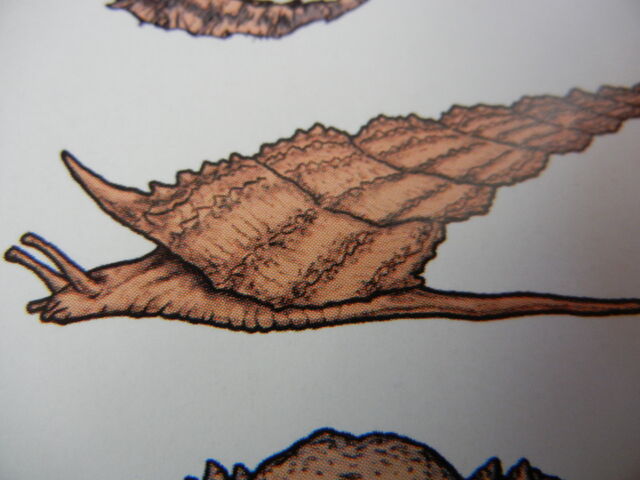 File:DSCN1887.jpg