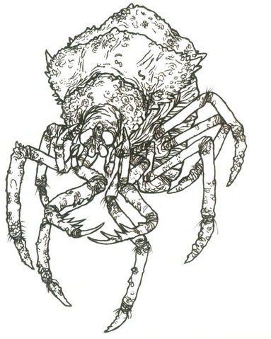 File:Abiscidis1.png