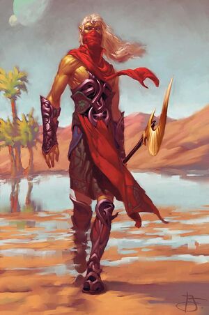 Viri Wanderer