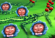 Cryingcabbage