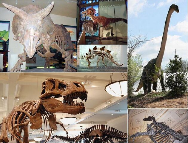 Файл:Dinosaurs-all.jpg