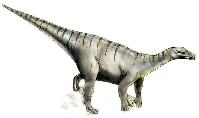 Файл:Sketch iguanodon.jpg