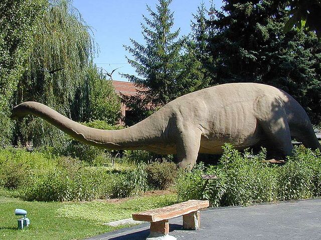 Файл:Diplodocus102.jpg