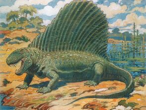Dimetrodon.jpg
