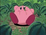 500px-Kirby Melone.jpg