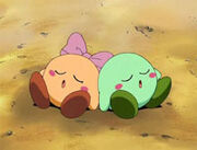 Two kirbys.jpg