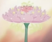 Fiore Cura.png