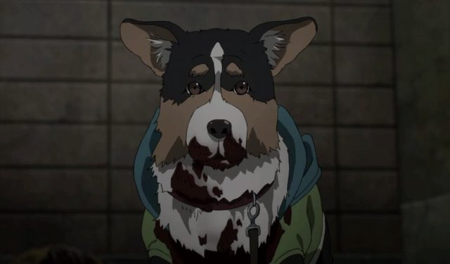 File:Parasite Dog.png
