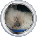 Tiedosto:Badge-edit-5.png