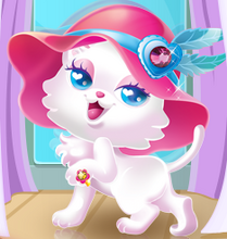 Kitty
