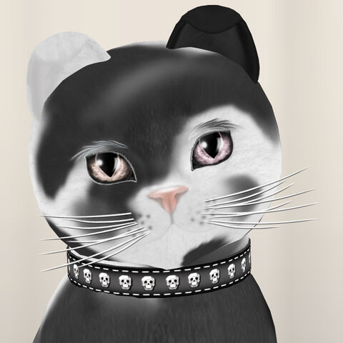 File:KittyCatS! - Squatter Kitty.jpg