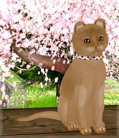 File:LeaFlame.jpg