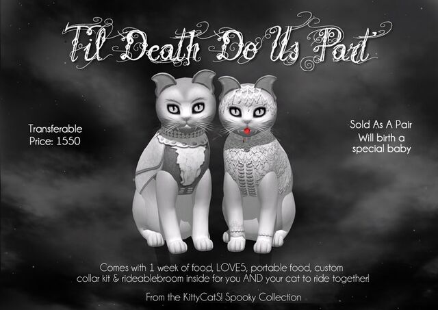 File:Kittycats-til-death-do-us-part ad.jpg