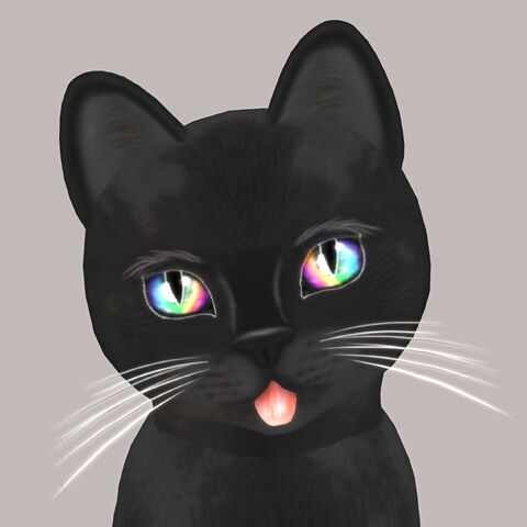 File:Black Russian Illume.jpg