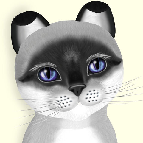 File:Foxy Mask.jpg