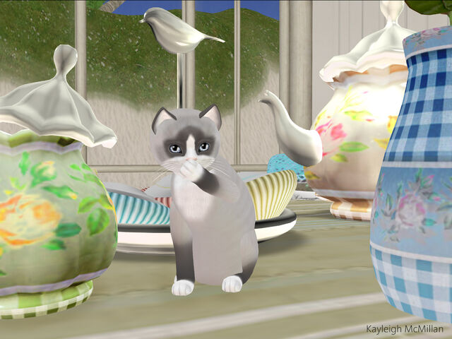 File:Naughty Sweet Tooth Kitty.jpg
