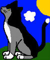 Thumbnail for version as of 13:26, December 5, 2009