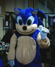 Soinc hegehog