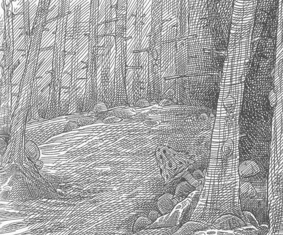 Datei:1000px-Nightwoods.jpg