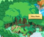 Misty Marsh
