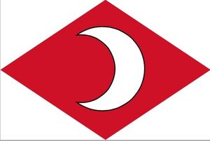 SingaporeegeeFlag