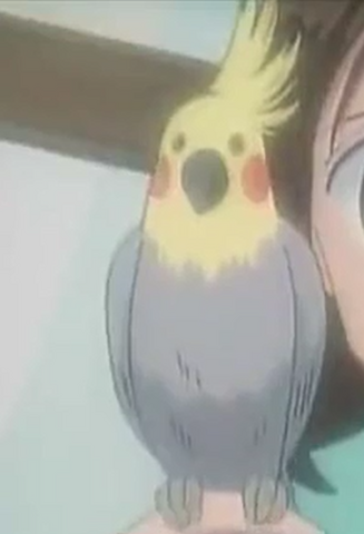 File:Inu.png