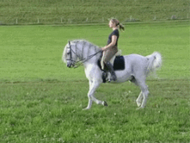 300px-Passage animated.gif
