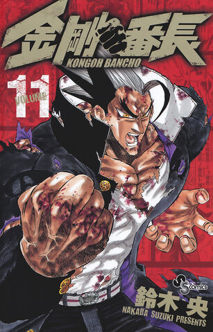 File:Volume 11.jpg