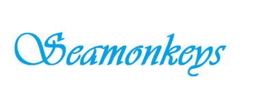 Seamonkeys