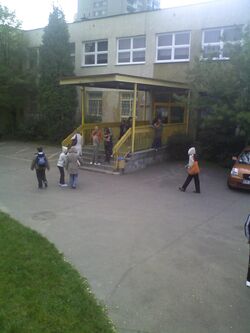 SP155.jpg