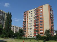 Foto3.jpg