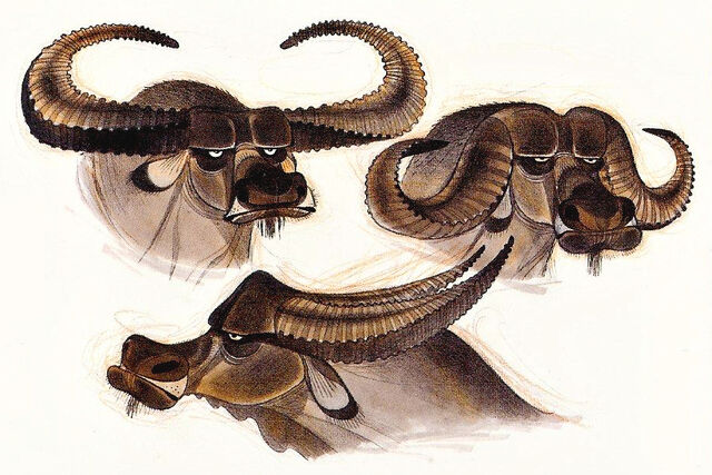 File:OxConcepts.jpg
