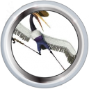 Bestand:Badge-picture-3.png