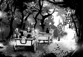Werewolves' Forest