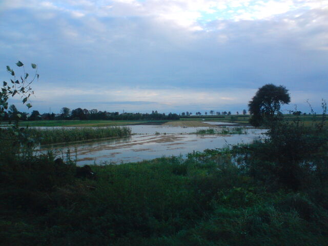 Plik:Kurowka02092010-13.jpg