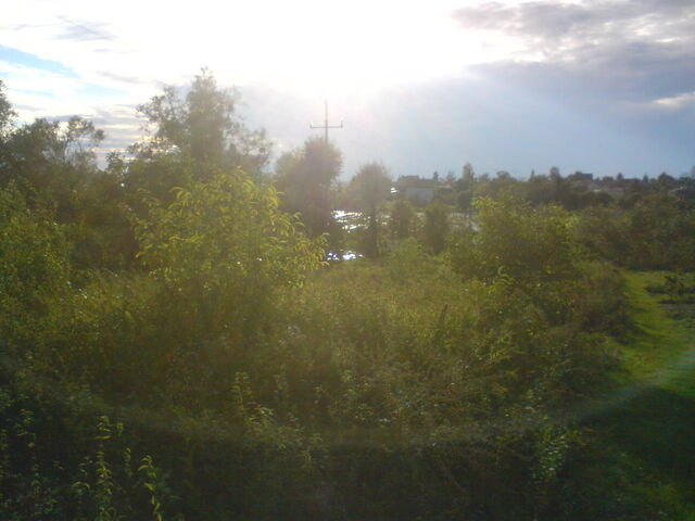 Plik:Kurowka02092010-15.jpg