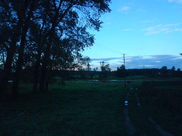 Plik:Kurowka02092010-7.jpg